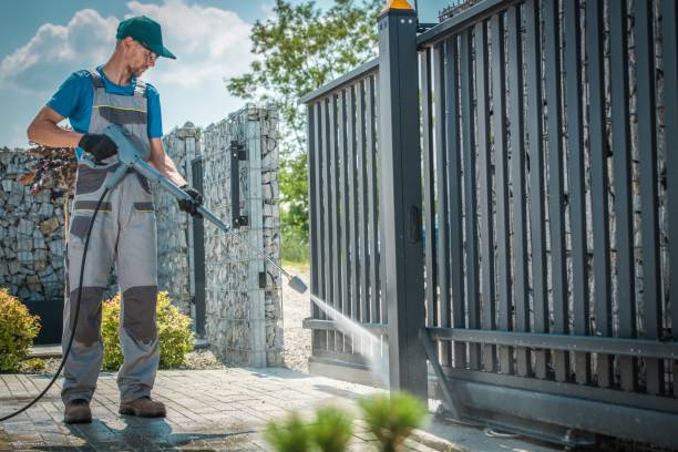 Boat and Dock Cleaning in Litchfield, IL