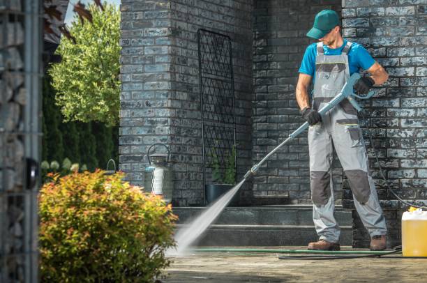 Best Solar Panel Cleaning  in Litchfield, IL