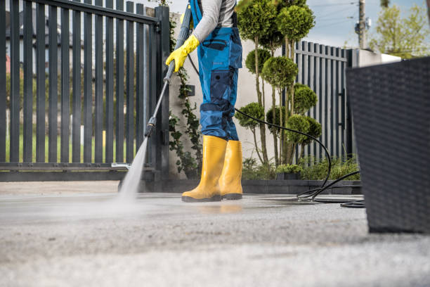 Best Dumpster Area Cleaning  in Litchfield, IL